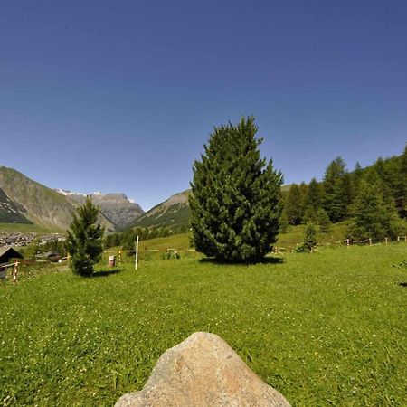 Condominio Teola Leonardo By Livigno Accomodation Exterior foto